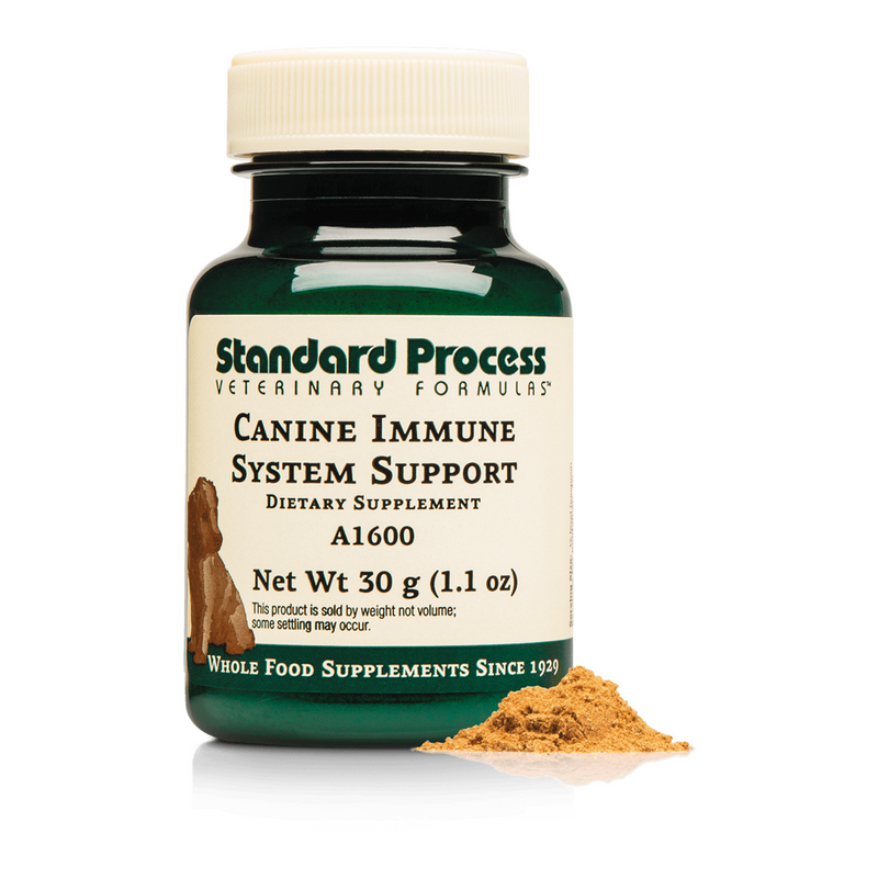 Canine Immune System Support