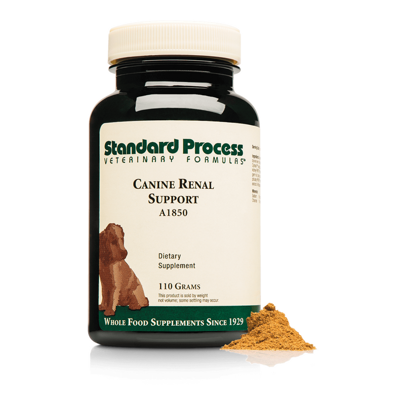 Canine renal support 2025