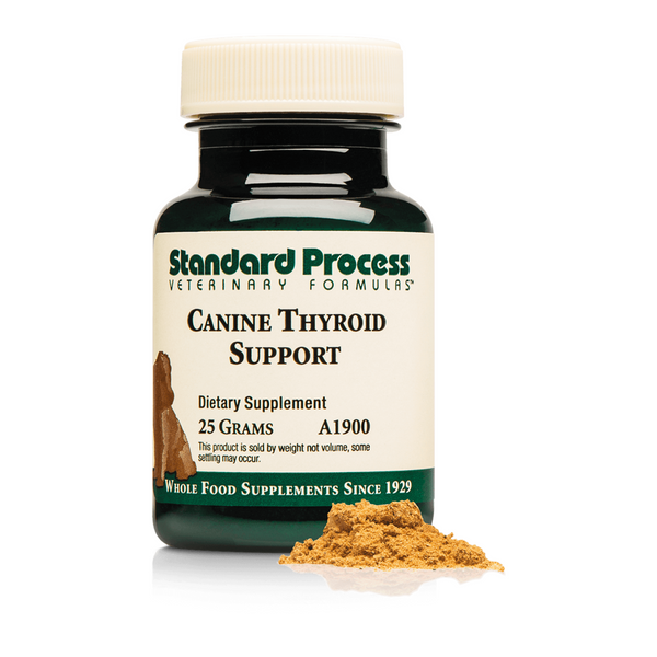 Canine Thyroid Support