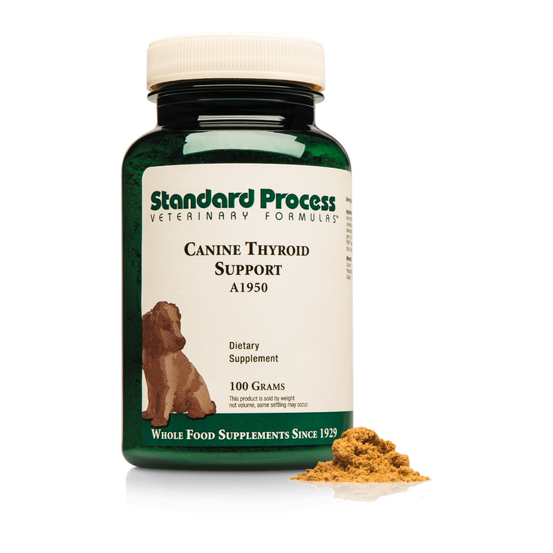 Canine Thyroid Support