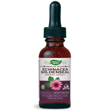 Echinacea Goldenseal Alcohol Free
