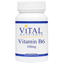 Vitamin B-6 100mg 100 Capsules