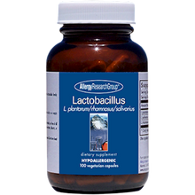 Lactobacillus