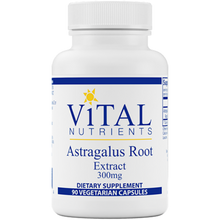 Astragalus Root Extract 300 mg 90 Vegetarian Capsules