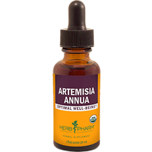 Artemisia Annua 1oz
