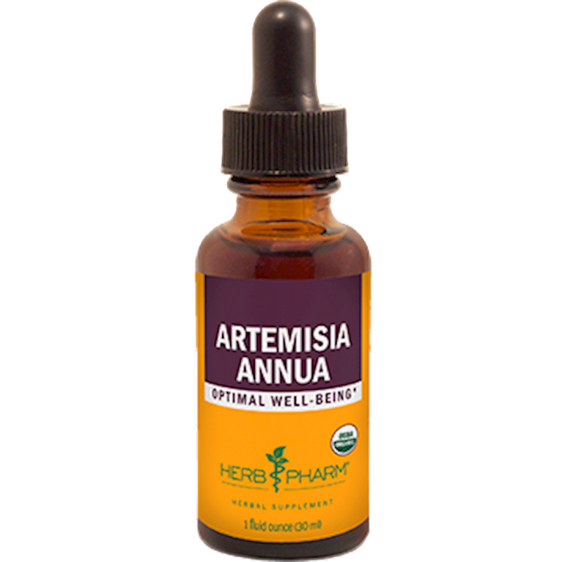 Artemisia Annua 1oz