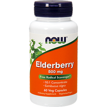 Elderberry Extract 500 mg