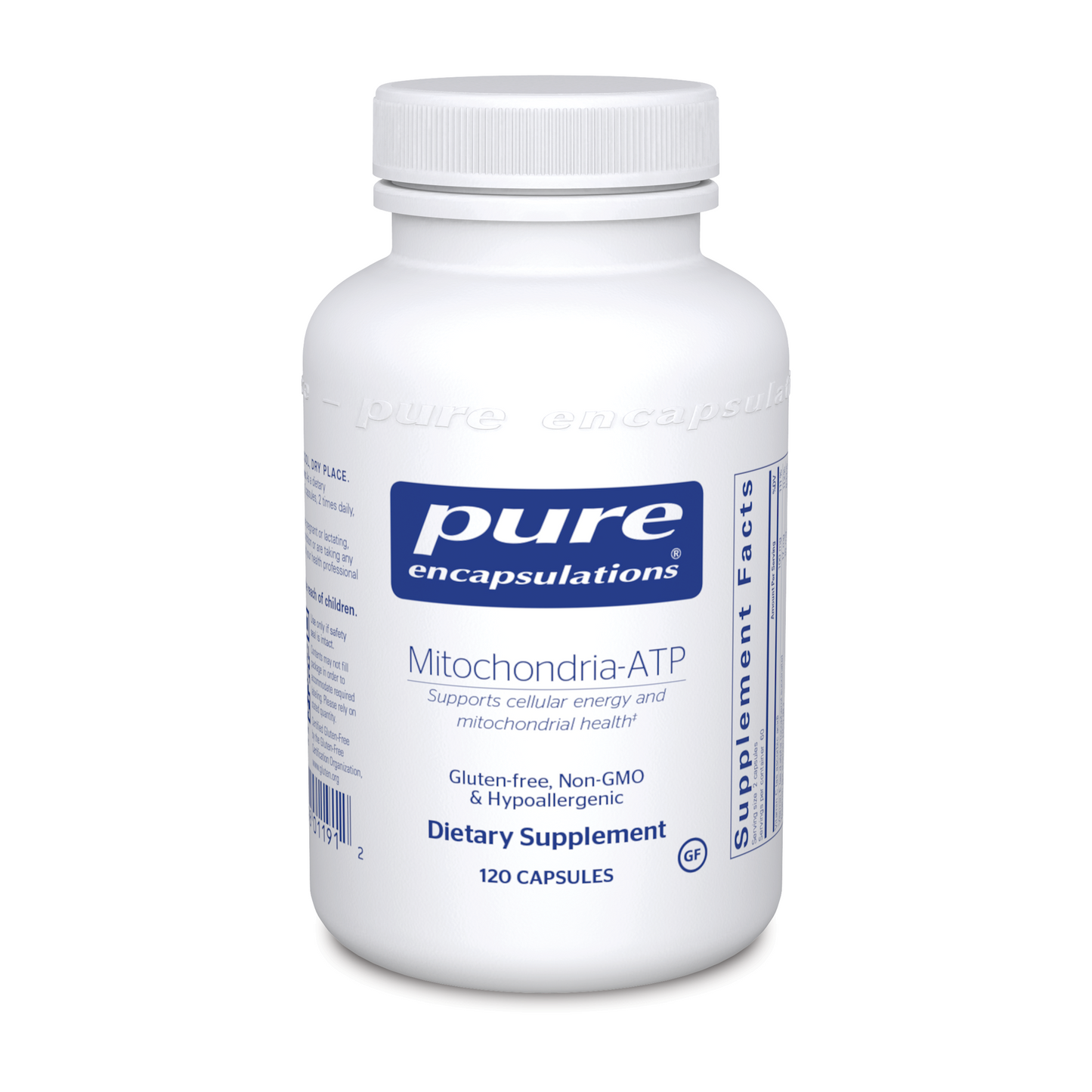 Mitochondria-ATP