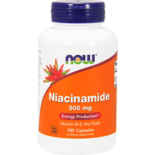 Niacinamide 500 mg 100 Capsules