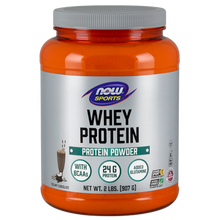Whey Protein Dutch Chocolate
