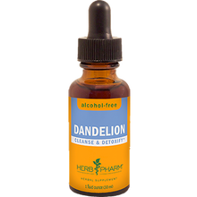 Dandelion Alcohol-Free 1oz