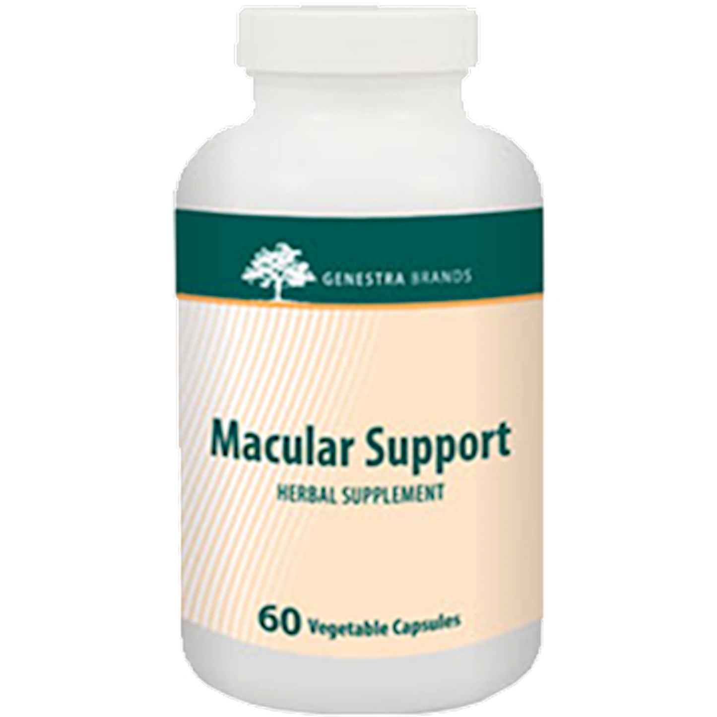 Macular Support