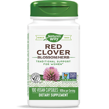 Red Clover Blossoms