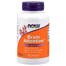 Brain Attention