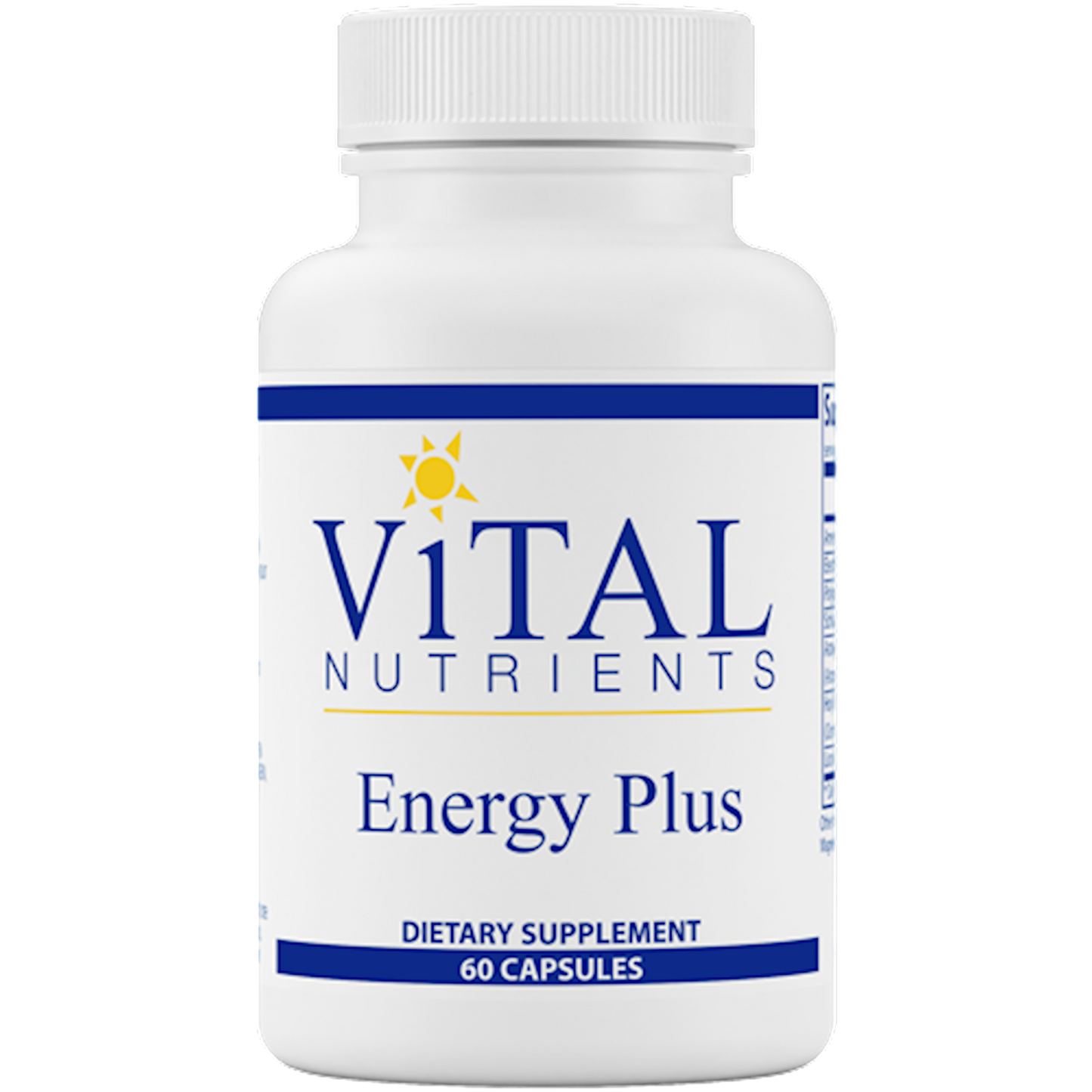 Energy Plus