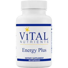 Energy Plus