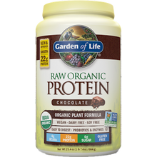 RAW Organic Protein Choc
