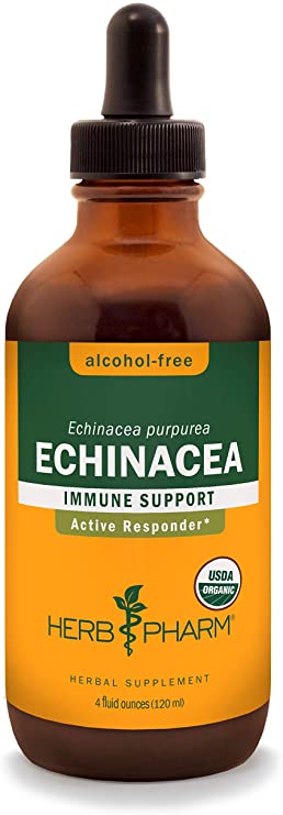 Echinacea Alcohol-Free 4oz