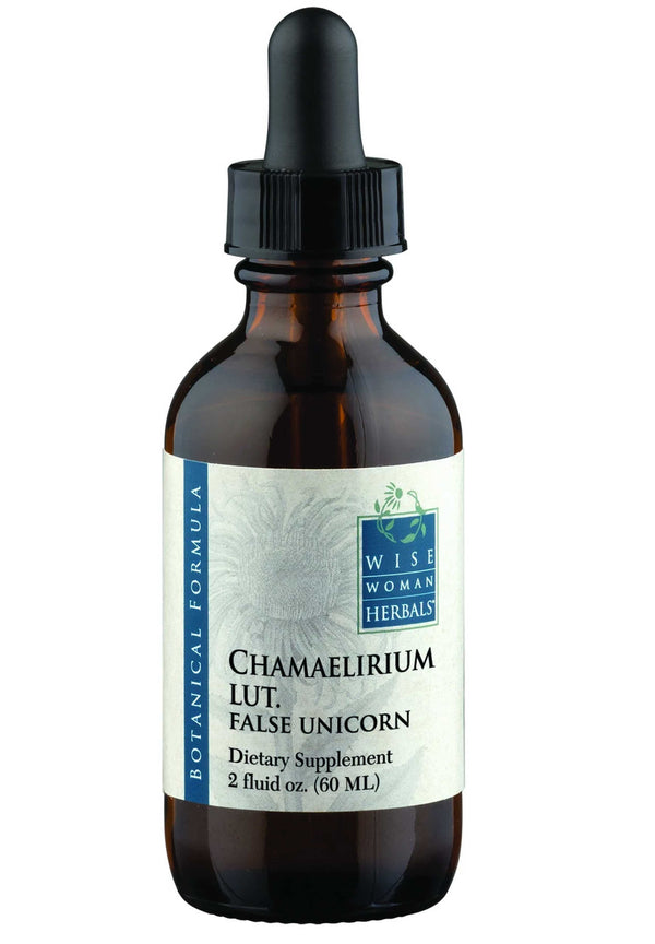 Chamaelirium Luteum False Unicorn