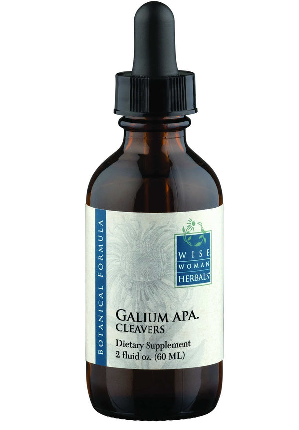 Galium Aparine Cleavers