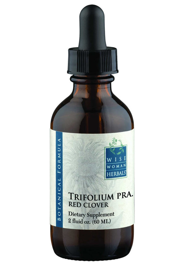 Trifolium Pratense Red Clover